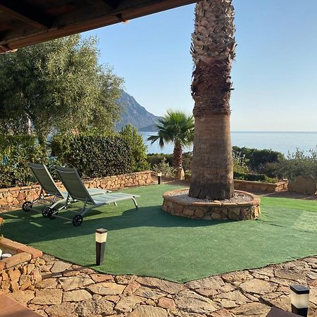 Il Bacio Del Sole Daire Tertenìa Dış mekan fotoğraf