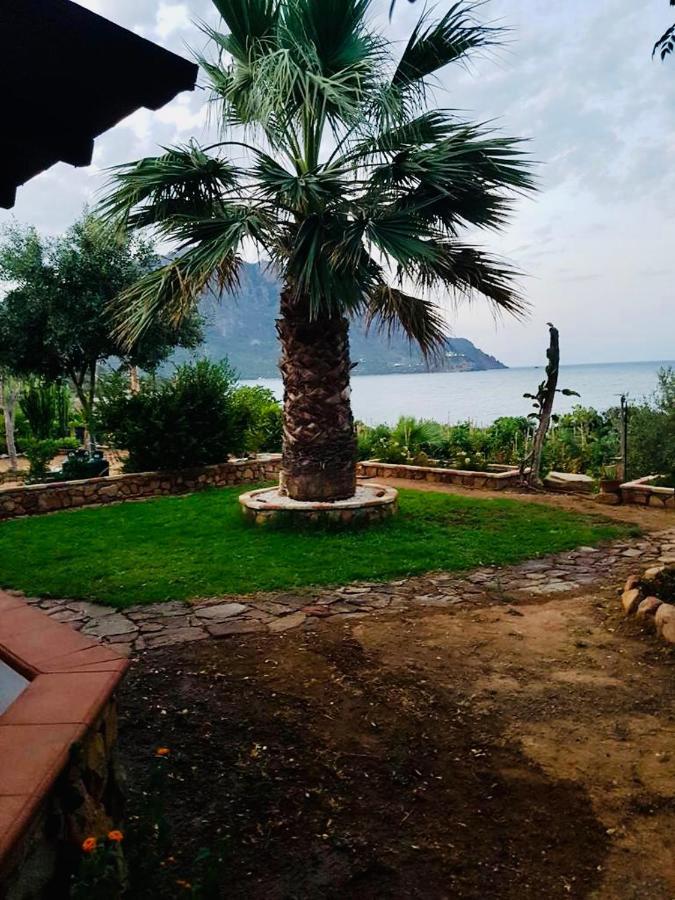 Il Bacio Del Sole Daire Tertenìa Dış mekan fotoğraf