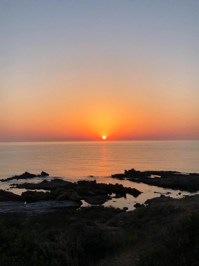 Il Bacio Del Sole Daire Tertenìa Dış mekan fotoğraf