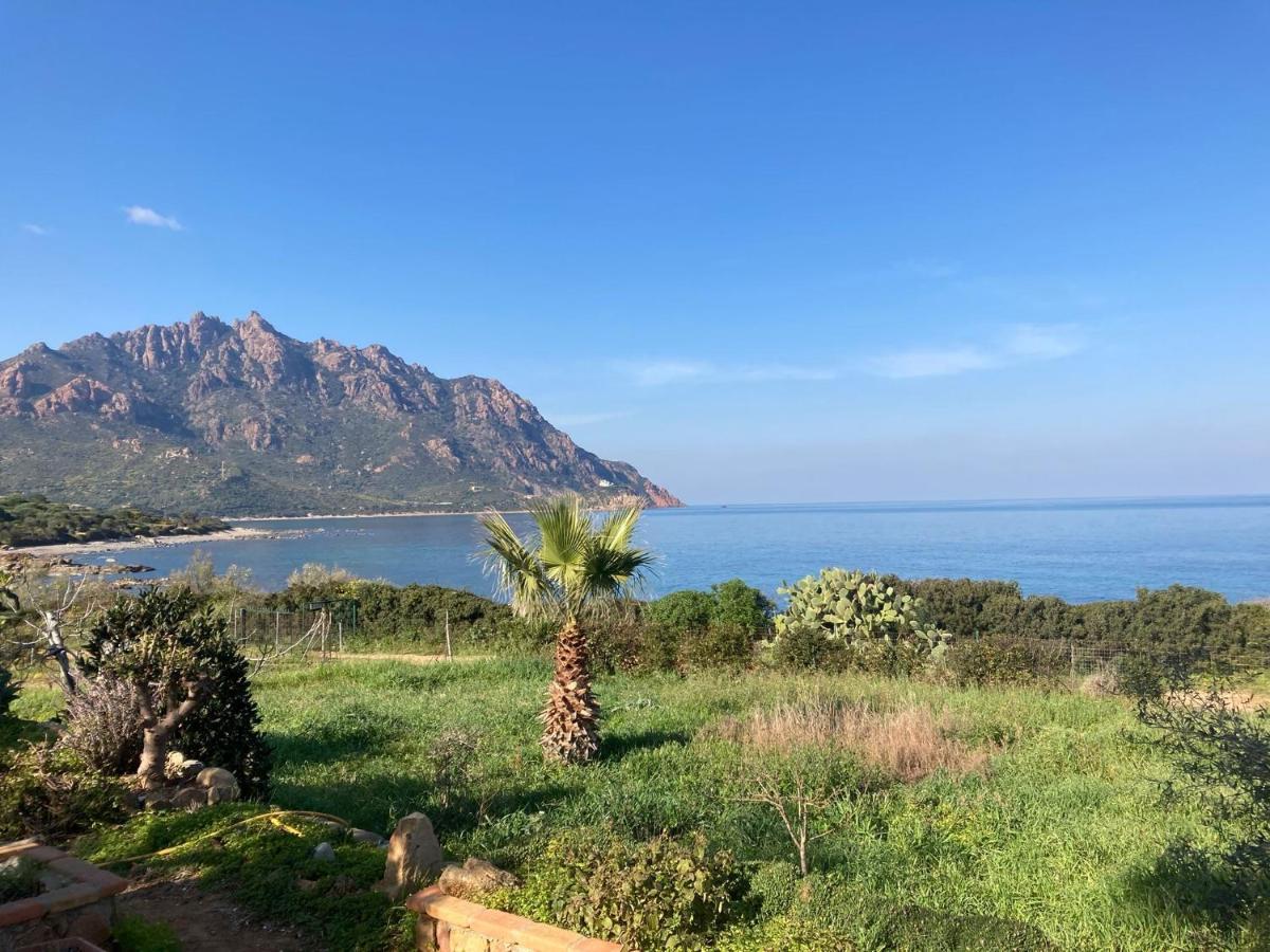 Il Bacio Del Sole Daire Tertenìa Dış mekan fotoğraf