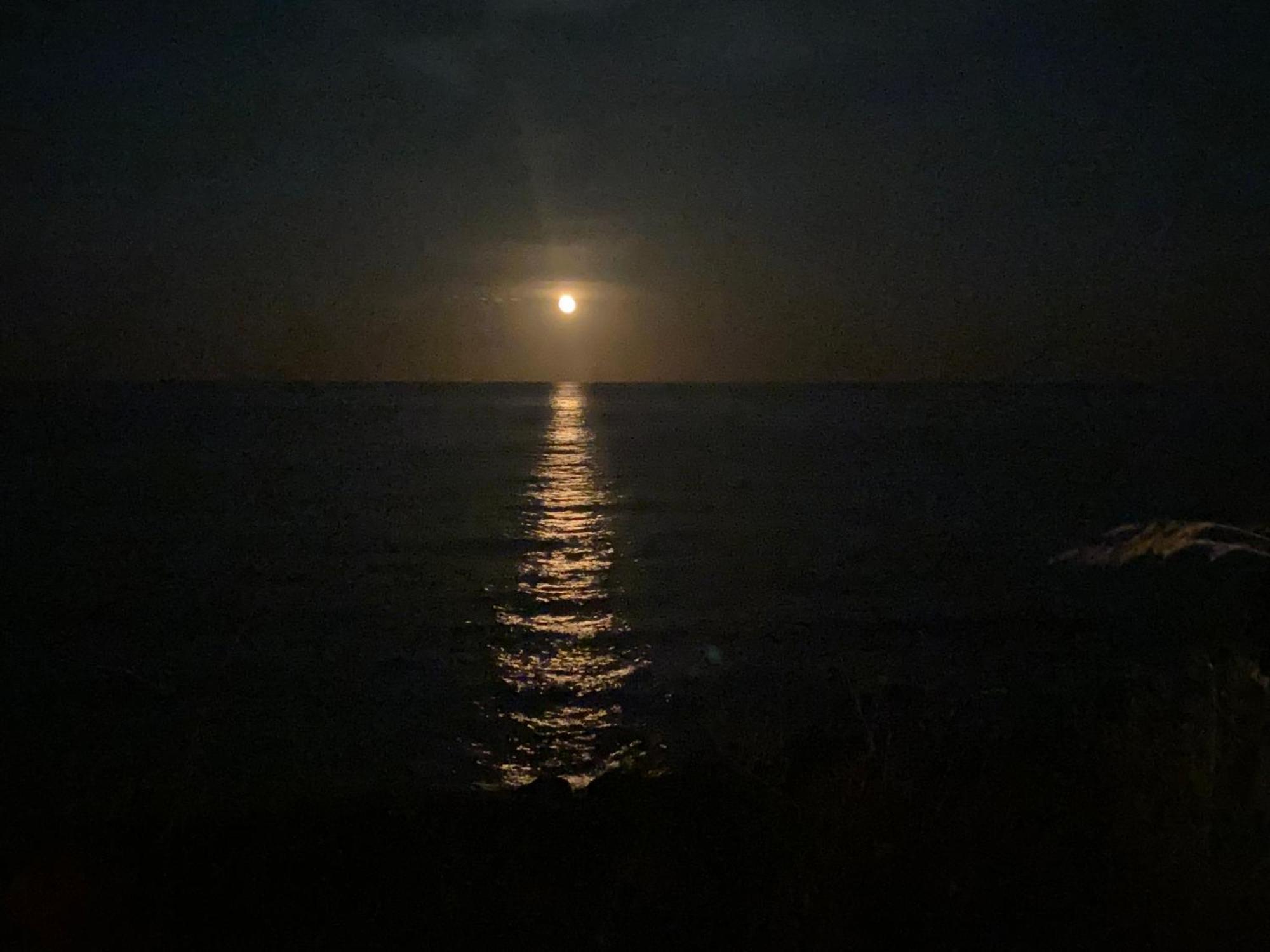 Il Bacio Del Sole Daire Tertenìa Dış mekan fotoğraf